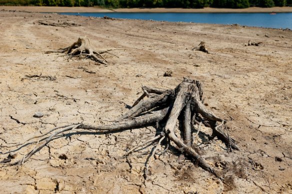The exposed bed of the Ardingly Reservoir during England’s recent heatwave.