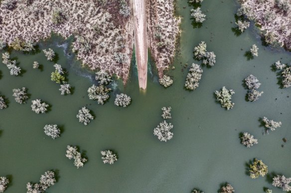 Flooding along the Darling River at Bourke in January, as heavy rains slowly made their way down the river system.