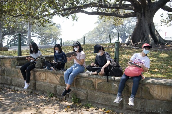 People wearing face masks at Sydney's Botanical Gardens, due to hazardous air quality from bushfire smoke. 