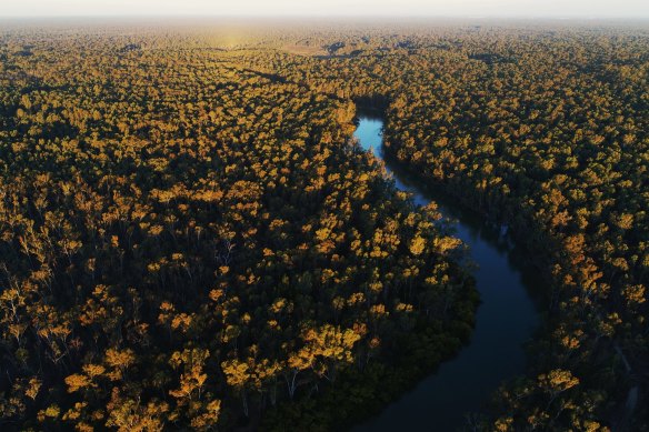 The Murray River winds through the Murray Valley National Park.