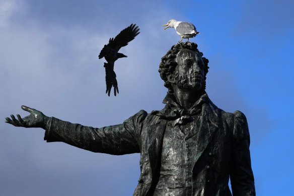 A crow tries to drive a seagull off the sculpture of famous Russian poet Aleksander Pushkin in St Petersburg, Russia.