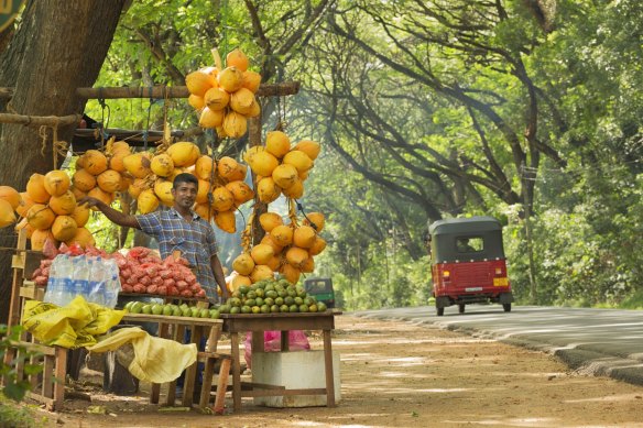 Sri Lankan fruit vendor on the roadside between Negombo and Kandy.