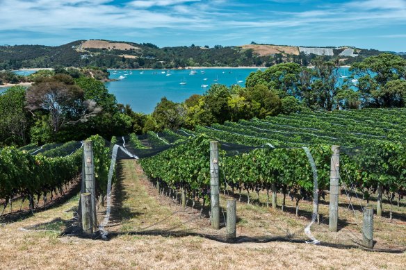 Waiheke is all about water and wine.