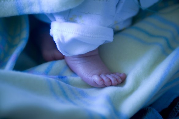 Babies born at scheduled early caesareans are being placed at unnecessary risk, warn experts.