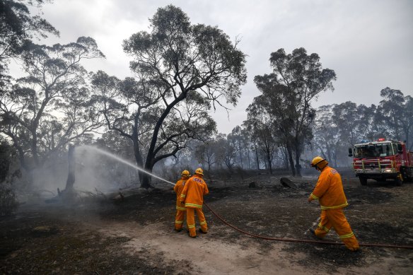 Firefighters work on a grass fire in Mill Park, Victoria in 2019.