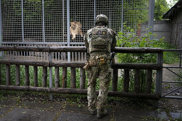 Russia-Ukraine war: The lions Australians helped whisk out of Odessa