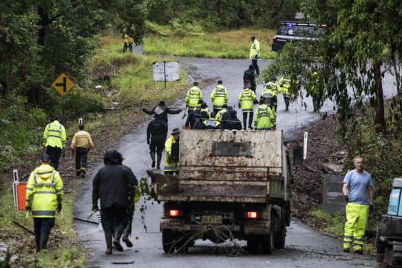 An enormous police operation in Kendall last year failed to find William’s remains or to unearth further evidence.