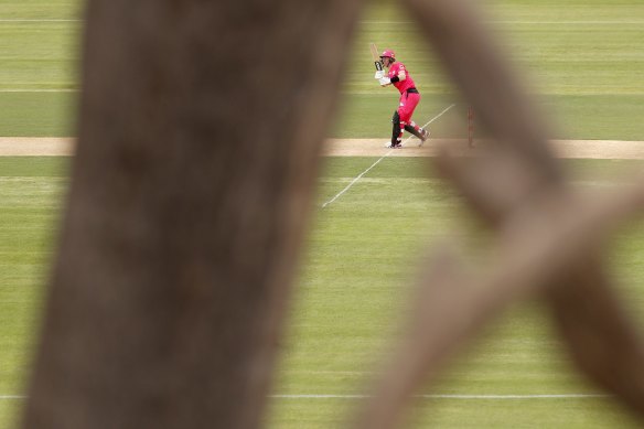 Silk will return to his home state for his first game of the BBL season with the Sixers going up against the Hobart Hurricanes for their opening game of the tournament. 