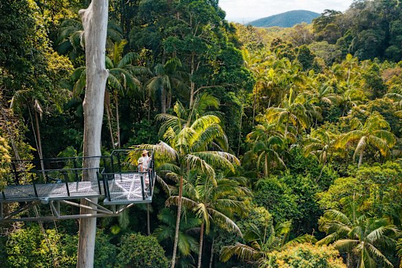 Tamborine Rainforest Skywalk attracts day trippers.