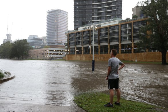 A man watches the rising Parramatta River on Saturday.