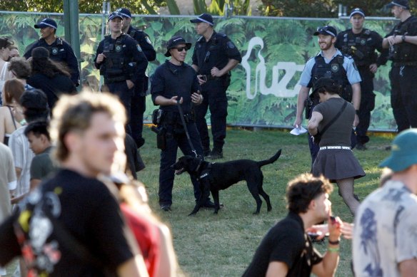 Police and sniffer dogs at the Listen Out festival at Sydney’s Centennial Park in September.
