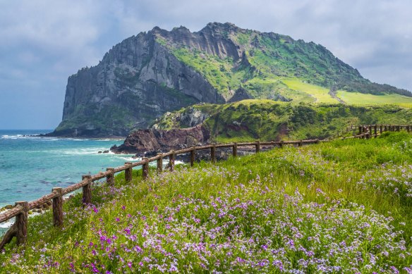 Jeju Island.
