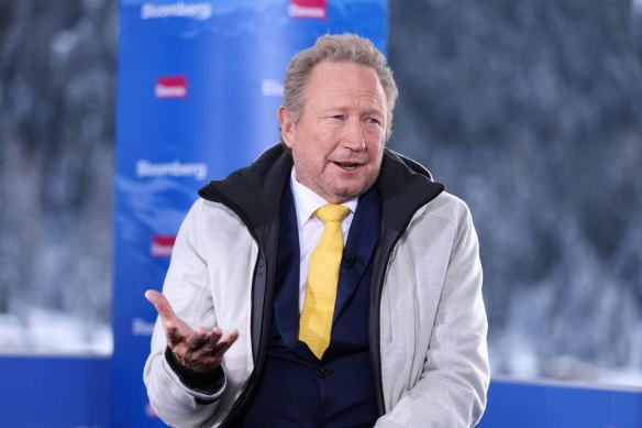 Fortescue Metals chairman Andrew Forrest.