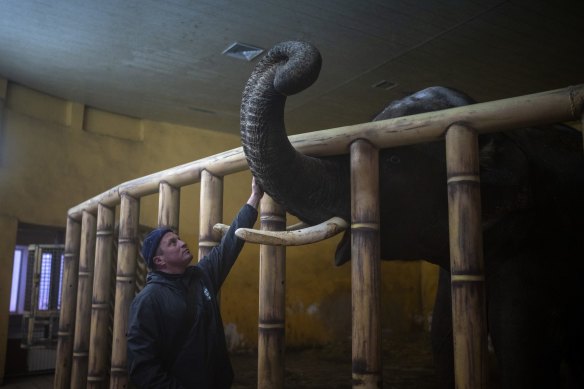 Animal keeper Kirilo Trantin comforts an elephant at the Kyiv Zoo as the city braces for more bombing.