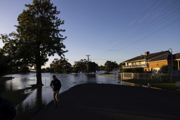Heavy flooding has put parts of Australia at heightened risk from Japanese encephalitis.
