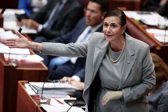 Senator Fierravanti-Wells told the Senate that Scott Morrison was “not fit to be prime minister”.