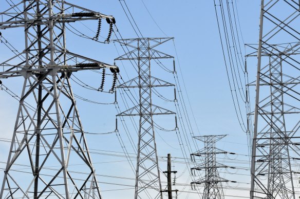 The size of the transmission line towers will be as high as 75 metres or almost twice the existing ones in the park.