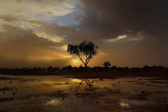On the road from Louth to Bourke in northern NSW in January, 2019.  The state broke the previous record for average January maximums - set in 1939 - by more than two degrees, the Bureau of Meteorology said.