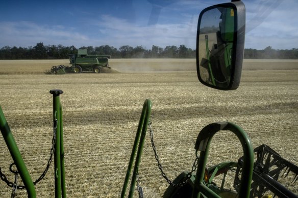 A combine harvester cuts through a field of wheat in Kryvyi Rih, Ukraine, last month.