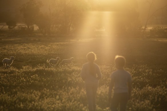 The best rains in years brought relief to many farmers across eastern Australia but long-term deficits remain.