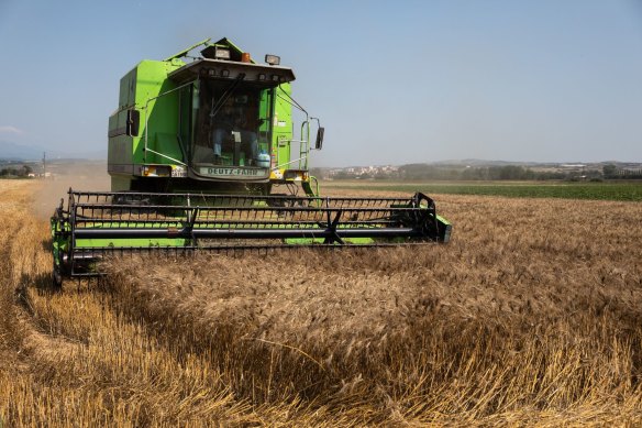 United Malt, vendeur de malt d'orge coté à l'ASX, pourrait être au menu des rachats.