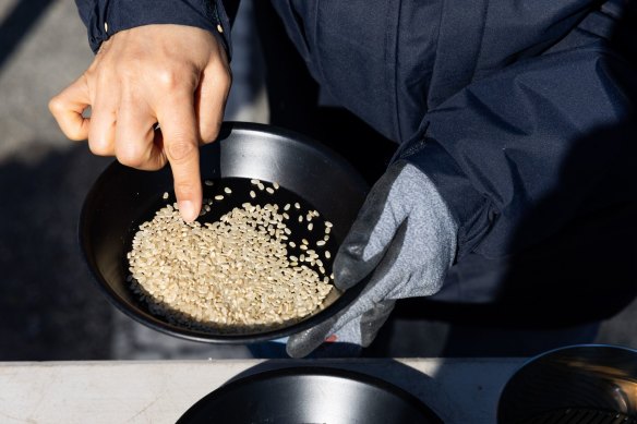 An inspector checks the quality of rice as part of a government procurement program in Pyeongtaek, South Korea. Researchers hope to produce a “beef rice” to provide more animal protein with less environmetal impact.