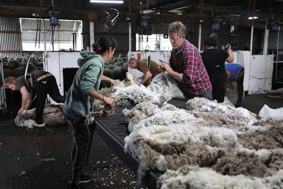 The economy was once so dependent on wool that it was said “Australia rides on the sheep’s back”.