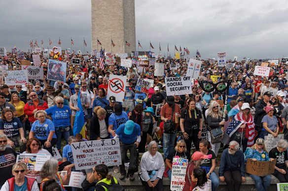 Protesters on the National Mall in Washington rally against Trump and Elon Musk.