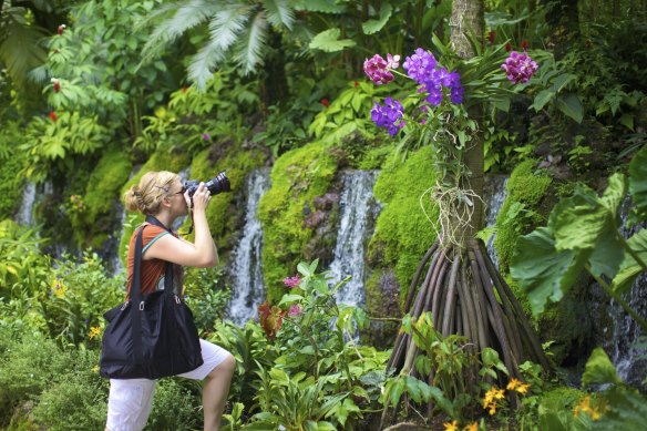 Singapore Botanic Gardens.