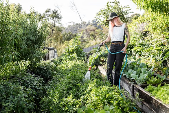 Moloney in his garden in Hobart.
