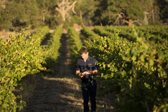 Founder John Hughes at Rieslingfreak in the Clare Valley, SA.