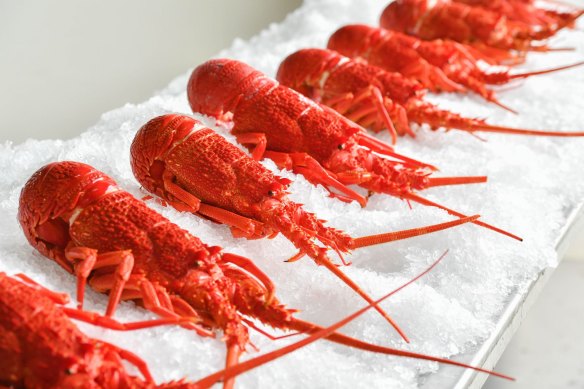China lifted its import ban on Australian lobsters.