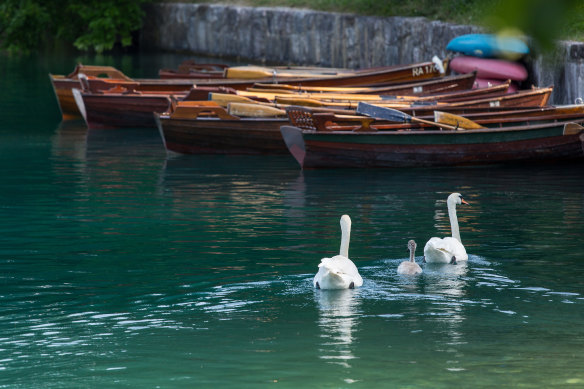 Pletna – the traditional rowing boats on the lake.