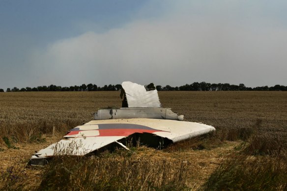 A portion of the MH17 wing lies in the field as smoke rises behind the tree-line.