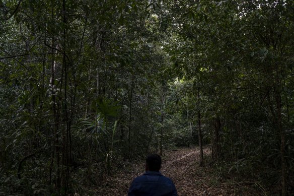 Researchers reanalysed previous surveys of Campeche state sites in the Mayan jungle.