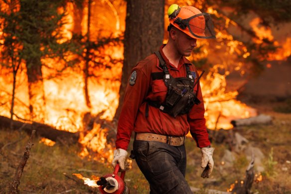 Fires in Canada and across much of the northern hemisphere over recent months have been linked to climate change.