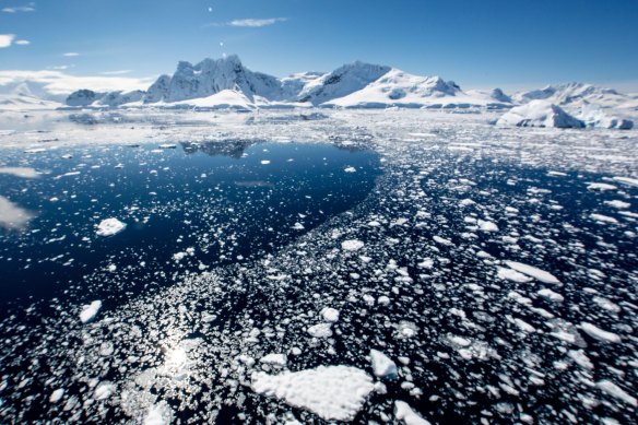 Antarctica is rapidly losing sea ice.