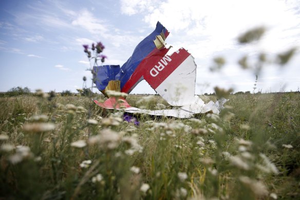 Part of the wreckage of Malaysia Airlines Flight MH17, near the village of Hrabove, Donetsk region.