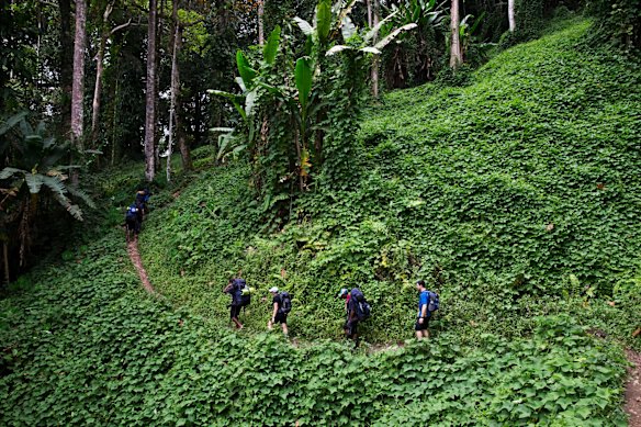 Trekkers on the Kokoda track. 