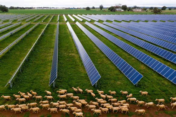 There is growing farmer opposition to thousands of kilometres of power lines, which are being built to connect a network of rural wind and solar farms to cities. 