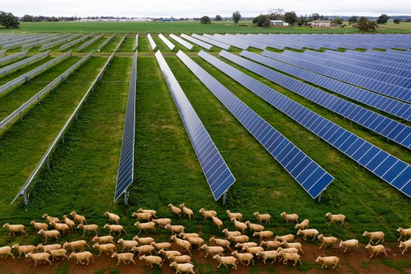 There is growing farmer opposition to thousands of kilometres of power lines, which are being built to co<em></em>nnect a network of rural wind and solar farms to cities. 