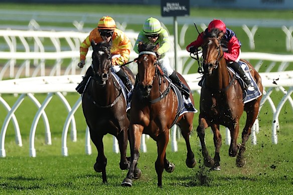 Savvy Hallie has been in fine form.