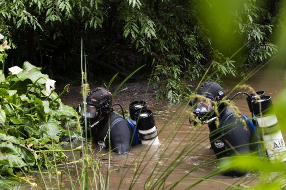 NSW Police divers search a creek for the remains of William Tyrrell in November last year.