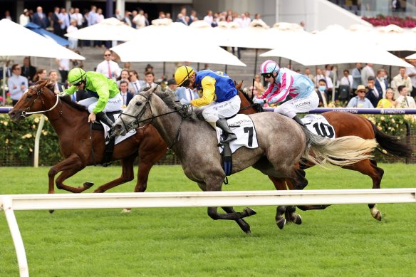 The Coast top selection Our Playboy wins at Flemington over the spring carnival.