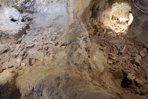 The fossil discoveries, in a cave near Rome, were hailed as ‘extraordinary’ by Italy’s culture minister.