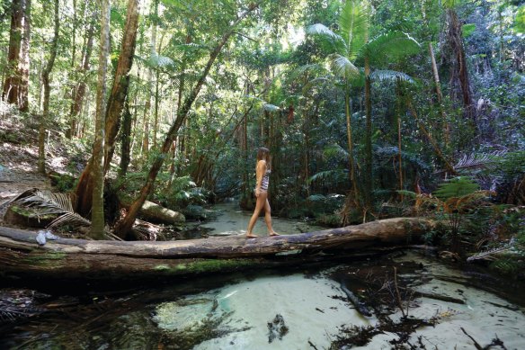 K’gari, formerly known as Fraser Island –  which the Butchulla people have called home for thousands of years – is recognised by UNESCO for its unique sand-dune-based ecosystem.