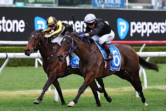 Chilly Girl, left, tries to run down Bangkok Hottie in the Furious Stakes last start.
