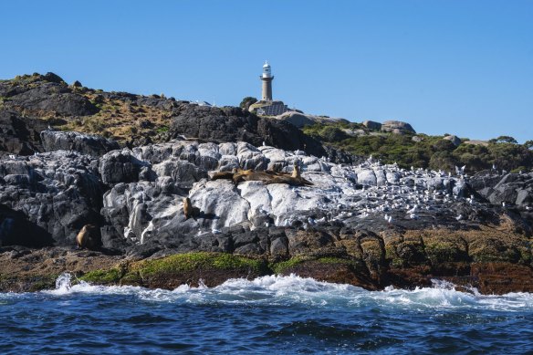 Montague Island now has an additional official name, Barunguba.