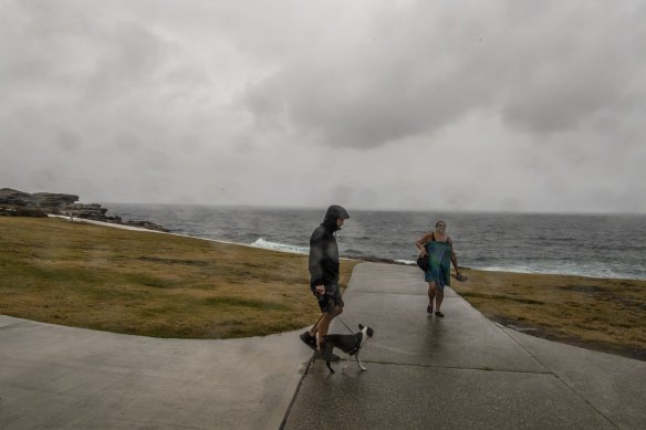 Jack Vanny Memorial Park in Maroubra is drenched on Friday.