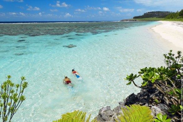 Plage de Shini. New Caledonia is one of the world’s greatest places for snorkelling. 